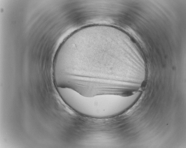 X0000088161240200706051043