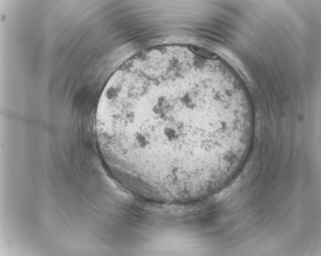 X0000088161241200706051043