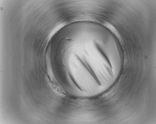 X0000088161242200706051043