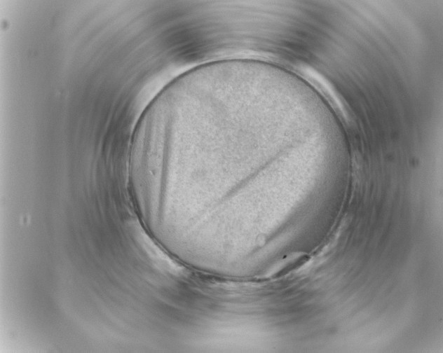 X0000088161244200706051043