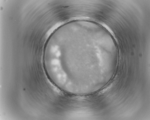 X0000088161245200706051043