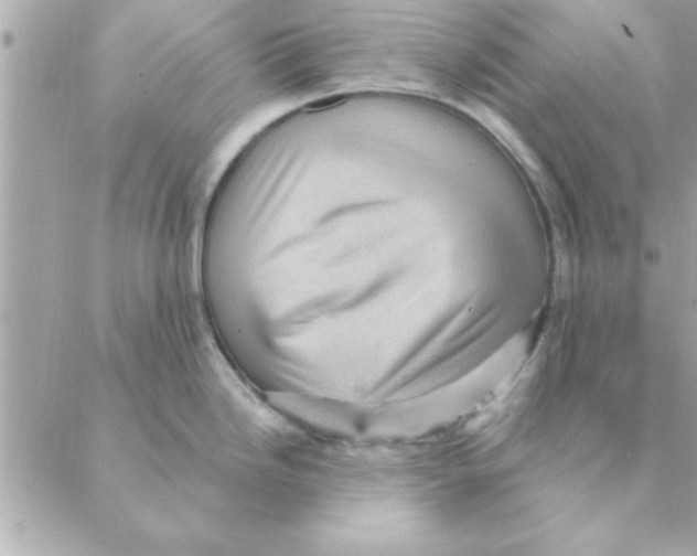 X0000088161246200706051043