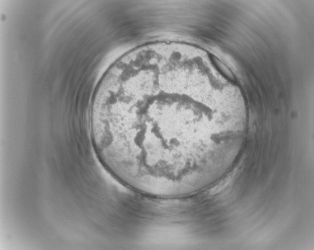 X0000088161247200706051043