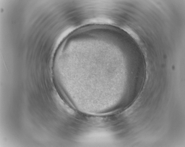 X0000088161248200706051043