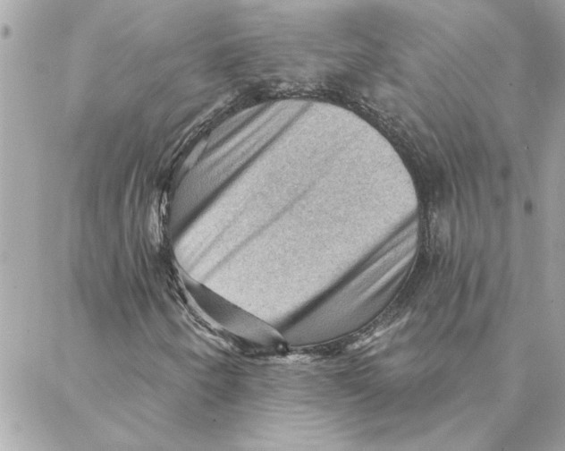 X0000088161250200706051042