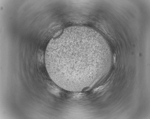 X0000088161251200706051042