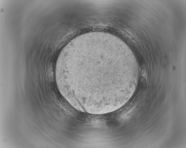 X0000088161252200706051042