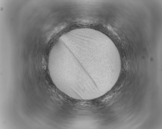 X0000088161253200706051042