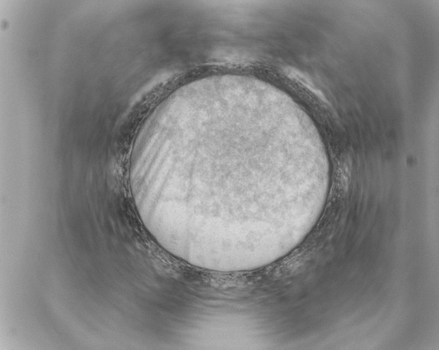 X0000088161254200706051042