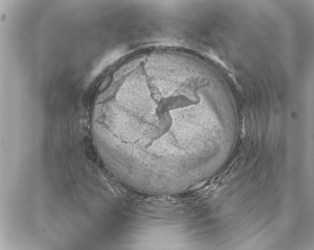 X0000088161255200706051042