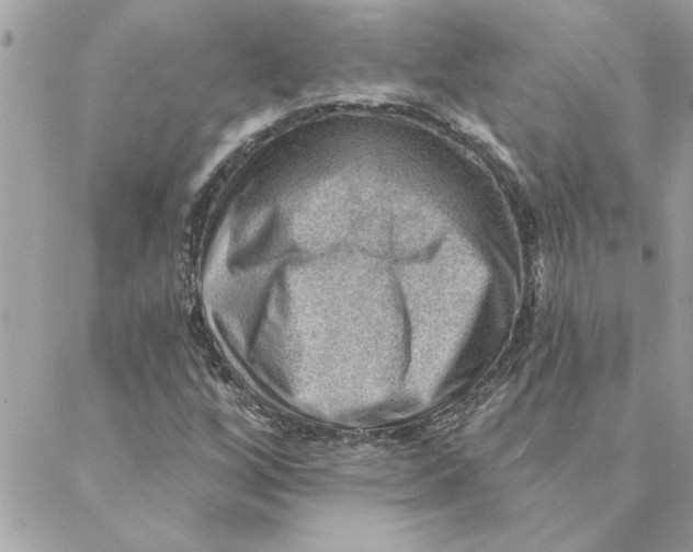 X0000088161256200706051042