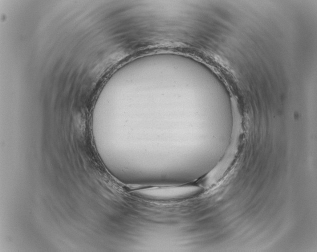 X0000088161257200706051042