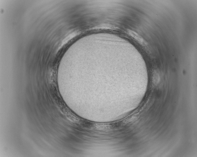 X0000088161258200706051042