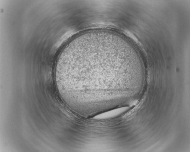 X0000088161259200706051042