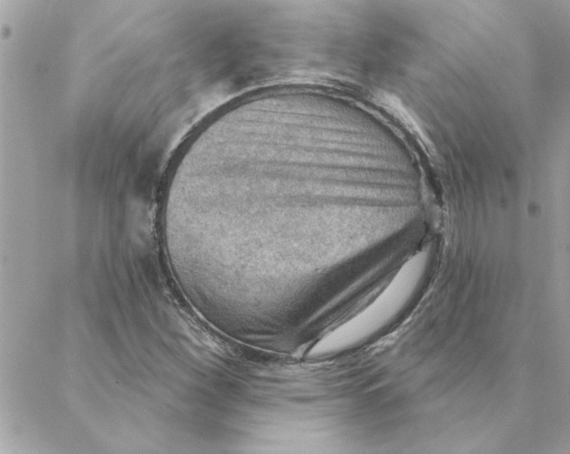 X0000088161260200706051042