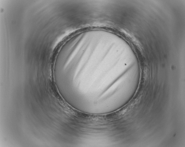 X0000088161262200706051042