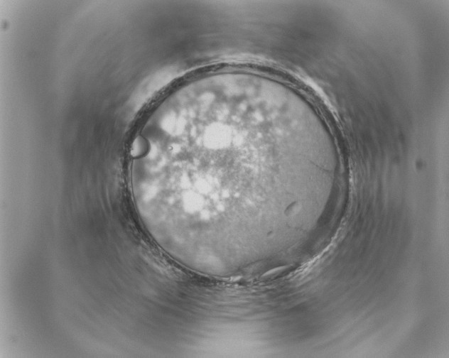 X0000088161263200706051042