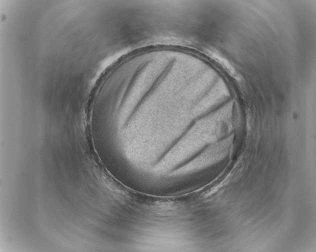 X0000088161264200706051042