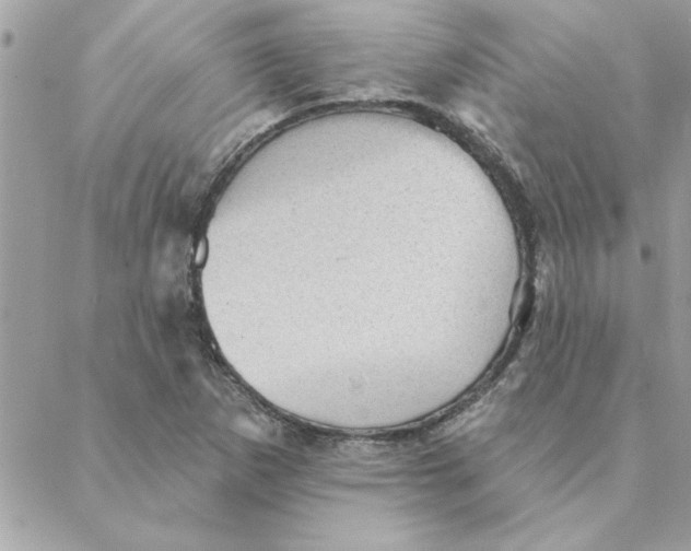 X0000088161265200706051042