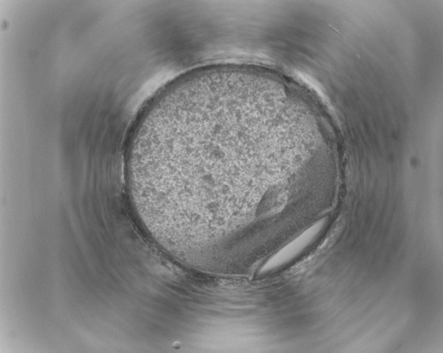 X0000088161267200706051042