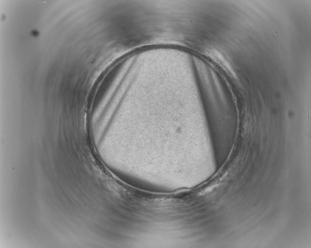 X0000088161268200706051042