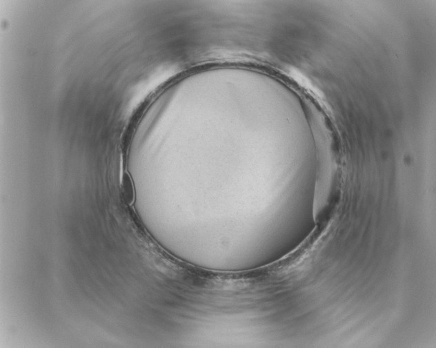 X0000088161269200706051042