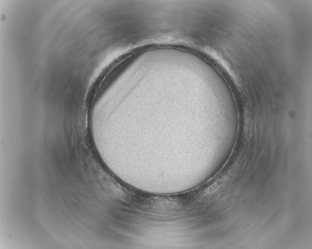 X0000088161270200706051042