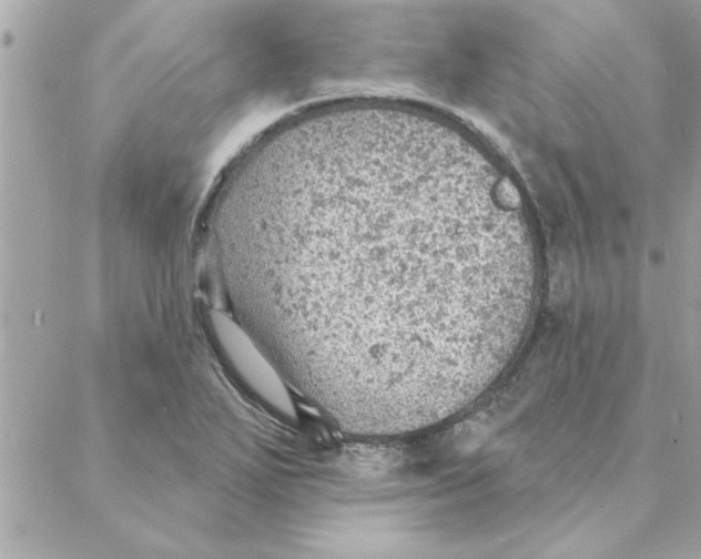 X0000088161271200706051042