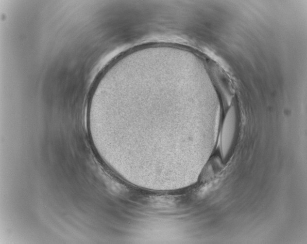 X0000088161272200706051042