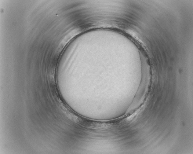 X0000088161273200706051042