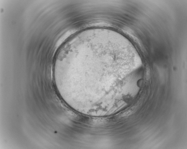 X0000088161274200706051042