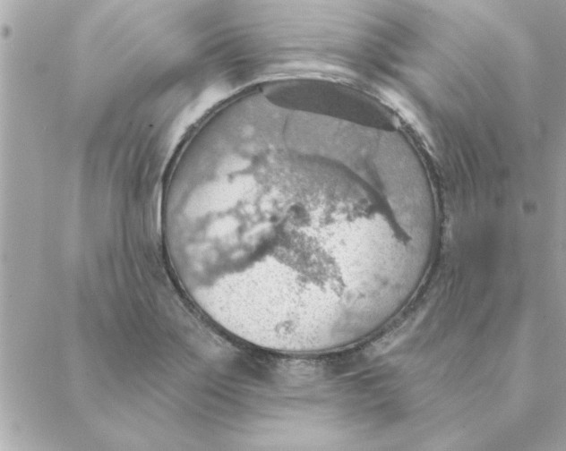 X0000088161275200706051042