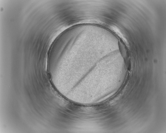 X0000088161276200706051042