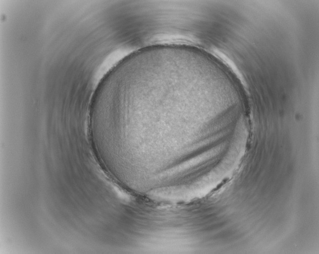 X0000088161277200706051042