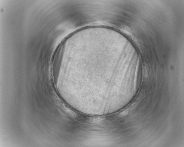 X0000088161278200706051042