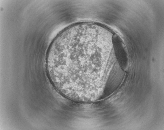 X0000088161279200706051042