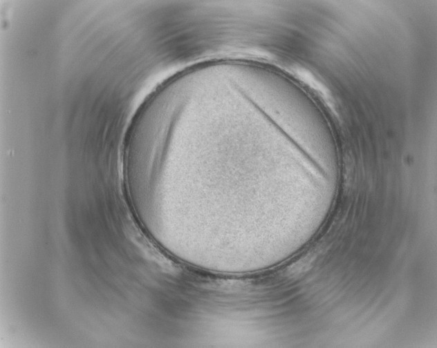 X0000088161280200706051042