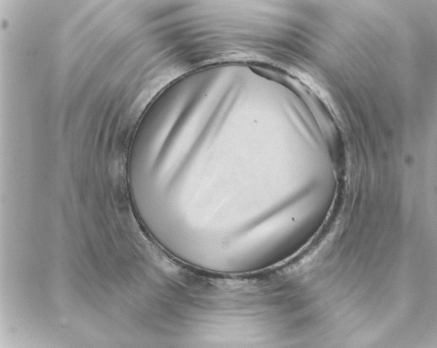 X0000088161281200706051042