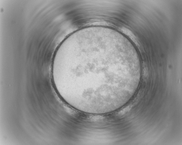 X0000088161282200706051042