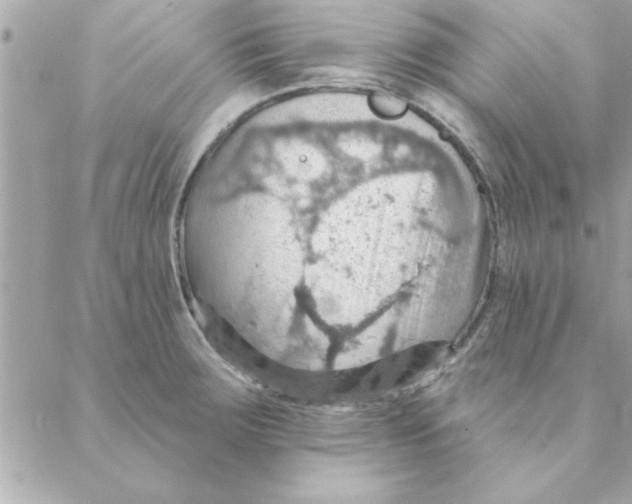 X0000088161283200706051042