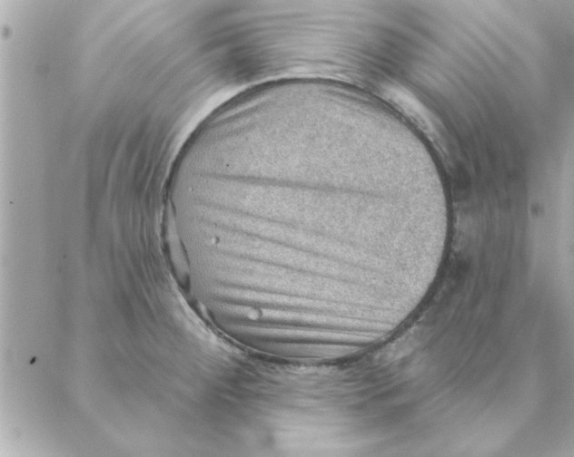 X0000088161284200706051042