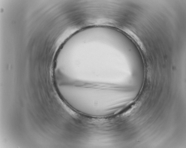 X0000088161285200706051042