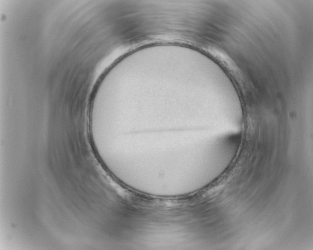 X0000088161286200706051042