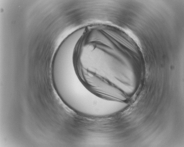 X0000088161287200706051042