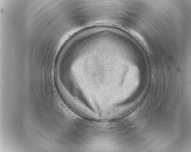 X0000088161288200706051042