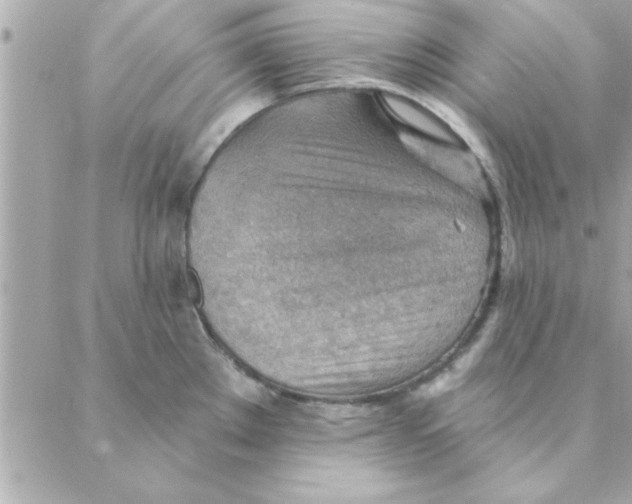 X0000088161289200706051042