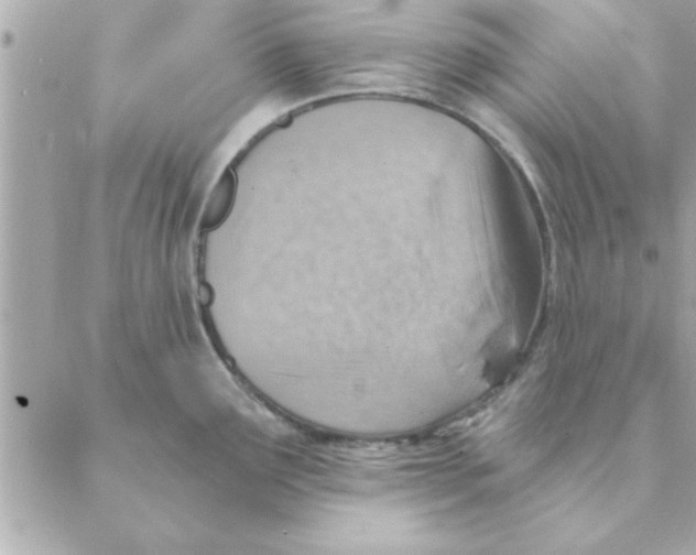 X0000088161291200706051042