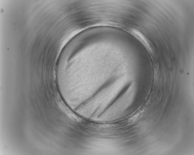 X0000088161292200706051042