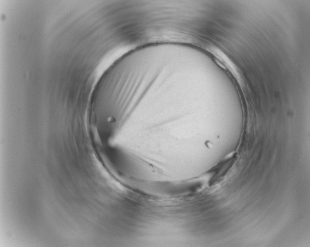 X0000088161293200706051042