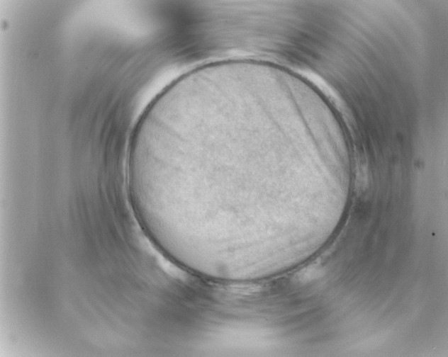 X0000088161294200706051042